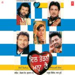 Dil Todna Manah Hai - Ikka Song Download